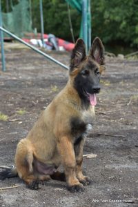 1-IMG-20170719-WA0002