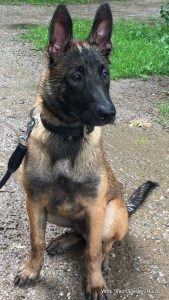 1-IMG-20170724-WA0000