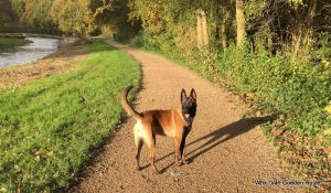 1-IMG-20171110-WA0001