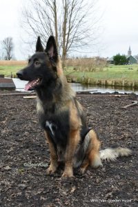 1-IMG-20180129-WA0002