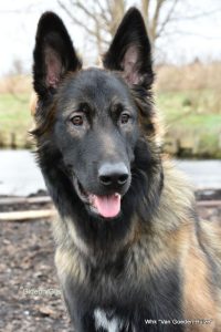 1-IMG-20180129-WA0004