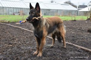 1-IMG-20180129-WA0005