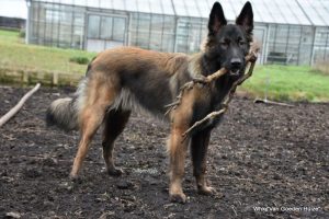 1-IMG-20180129-WA0006