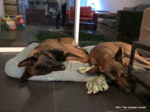 1-IMG-20180317-WA0000