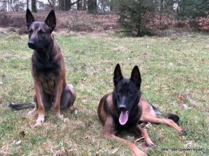 1-IMG-20180317-WA0002