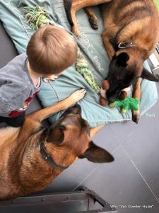 1-IMG-20180317-WA0003