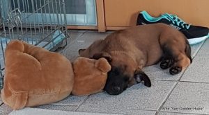 1-IMG-20180601-WA0001