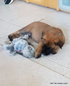 1-IMG-20180601-WA0002