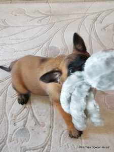 1-IMG-20180601-WA0004