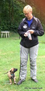 1-IMG-20180602-WA0001