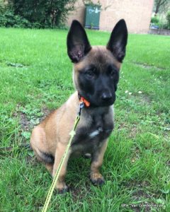 1-IMG-20180605-WA0012