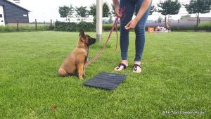 1-IMG-20180610-WA0000