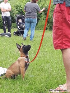 1-IMG-20180612-WA0000