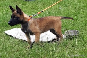 1-IMG-20180612-WA0004