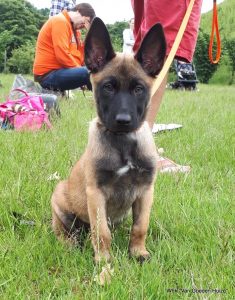 1-IMG-20180612-WA0008