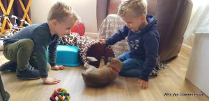 1-IMG-20190414-WA0001 1