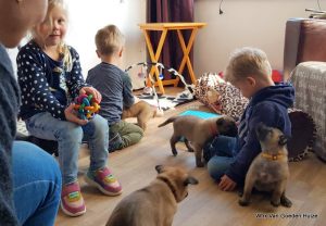 1-IMG-20190414-WA0002