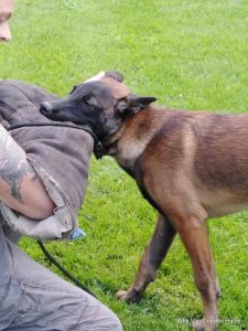 1-IMG-20200728-WA0003