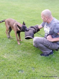 1-IMG-20200728-WA0004