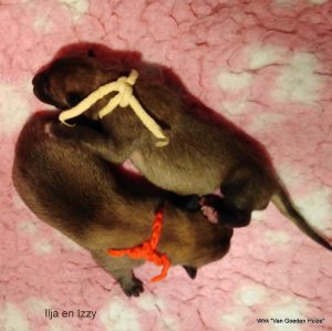 1-IMG 20190316 105152