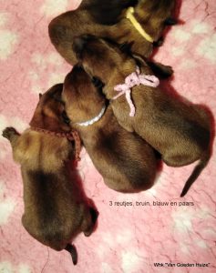 1-IMG 20190316 105224