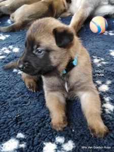 1-IMG 20190404 134150