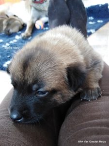 1-IMG 20190404 134347