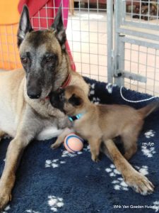 1-IMG 20190404 134452