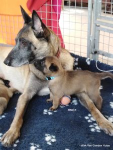 1-IMG 20190404 134456