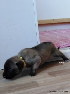 1-IMG 20190404 134600