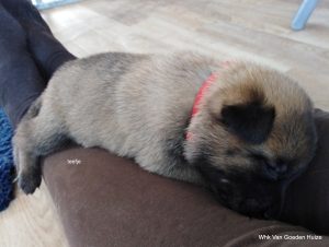 1-IMG 20190404 134634