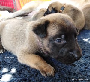 1-IMG 20190404 134736