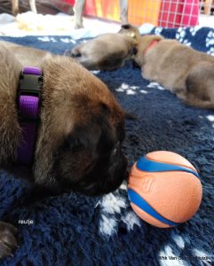 1-IMG 20190404 134831