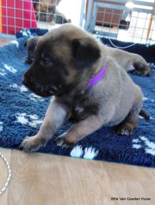 1-IMG 20190404 135038