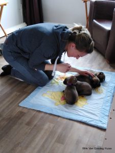 1-IMG 20190404 161228