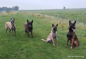 1-IMG 20200903 132657