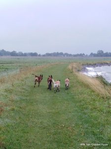 1-IMG 20200903 141031