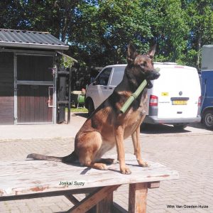 1-IMG 20210606 115330 1-001