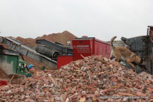 1-Roy en bliss samen