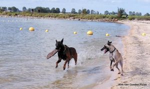 1-septeber 2020 323-001