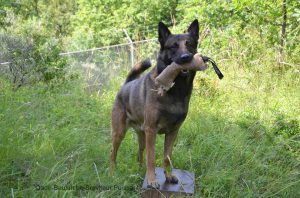 1-trainen 30-06-2013 1016113 167211470124464 1085575929 n