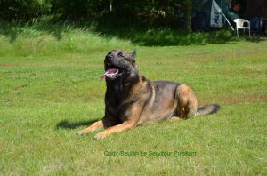 1-trainen 30-06-2013 1044927 167211410124470 658907954 n