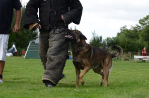 1001256 186560498189561 654242508 n