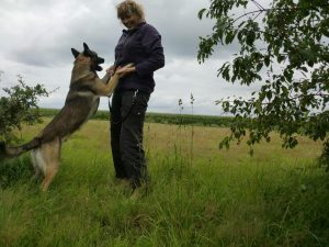 1002246 10151735870564467 1771504000 n