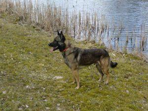 1004451 10151735841824467 205635052 n