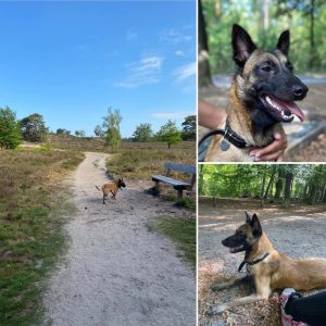 100986586 3019910641462420 2647377107784564736 n