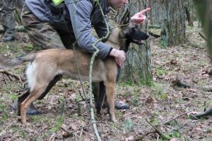 1012535 636800479700581 1324555093 n