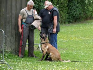 1012807 332378583561789 804584065 n  8-7-2013