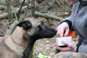 1013748 636800473033915 2047791849 n