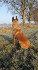 10255729 1712151179002073 6511183964101103828 n